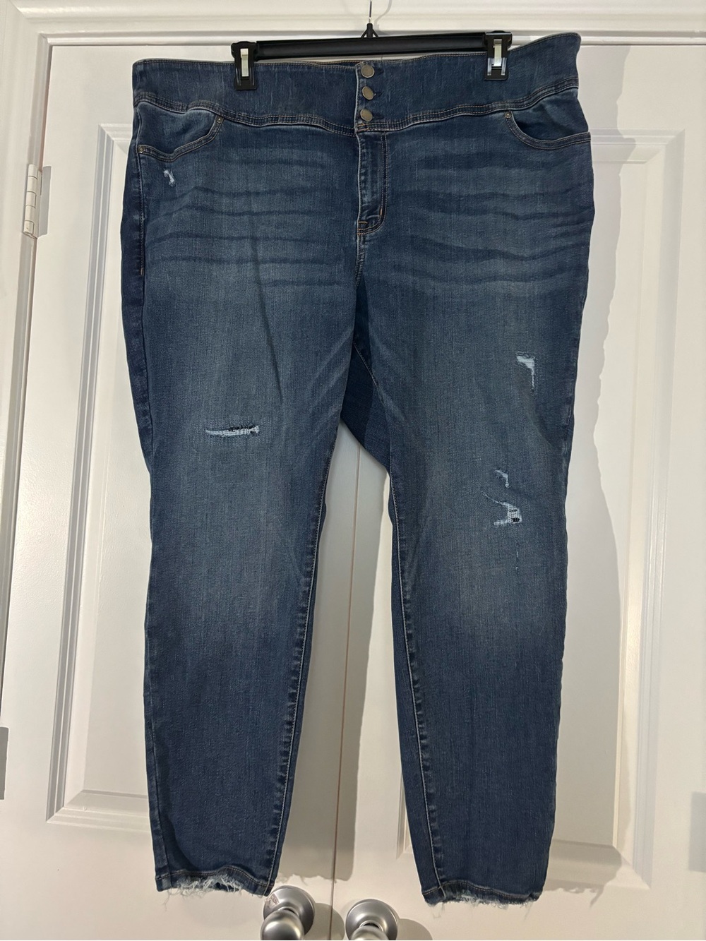 Lane Bryant Dark Blue Distressed Ankle Jeans